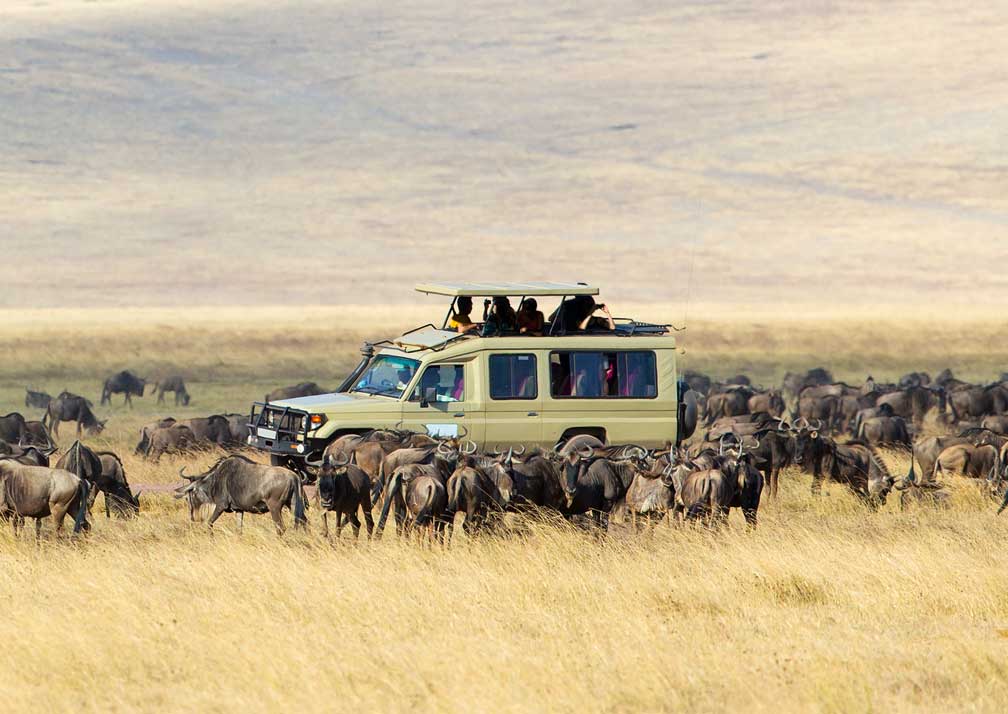 Serengeti National Park 1 1