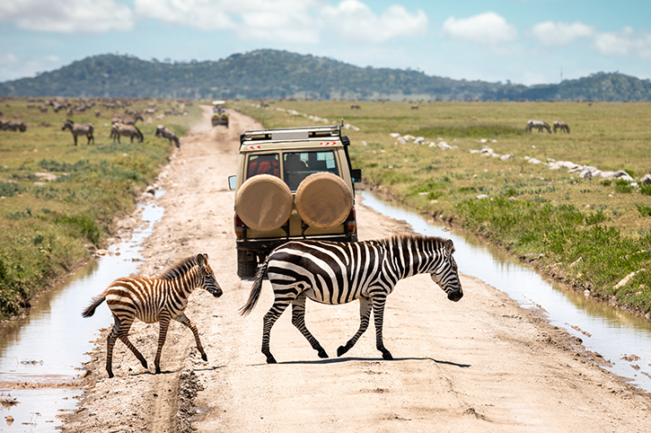 Serengeti National Park Tanzania