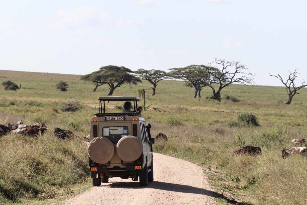 Serengeti bec7a1f2ea35420692b1364ae99a3854