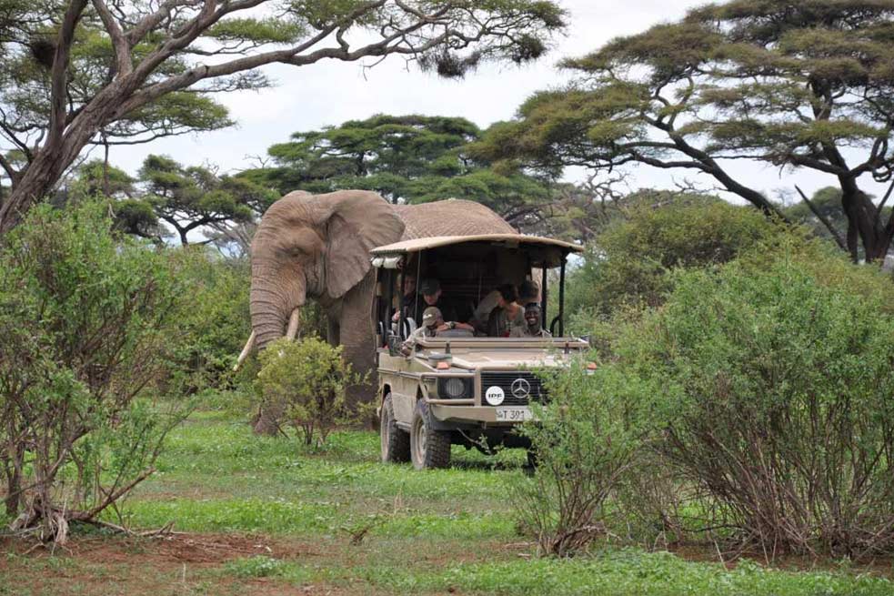 arusha national park 3
