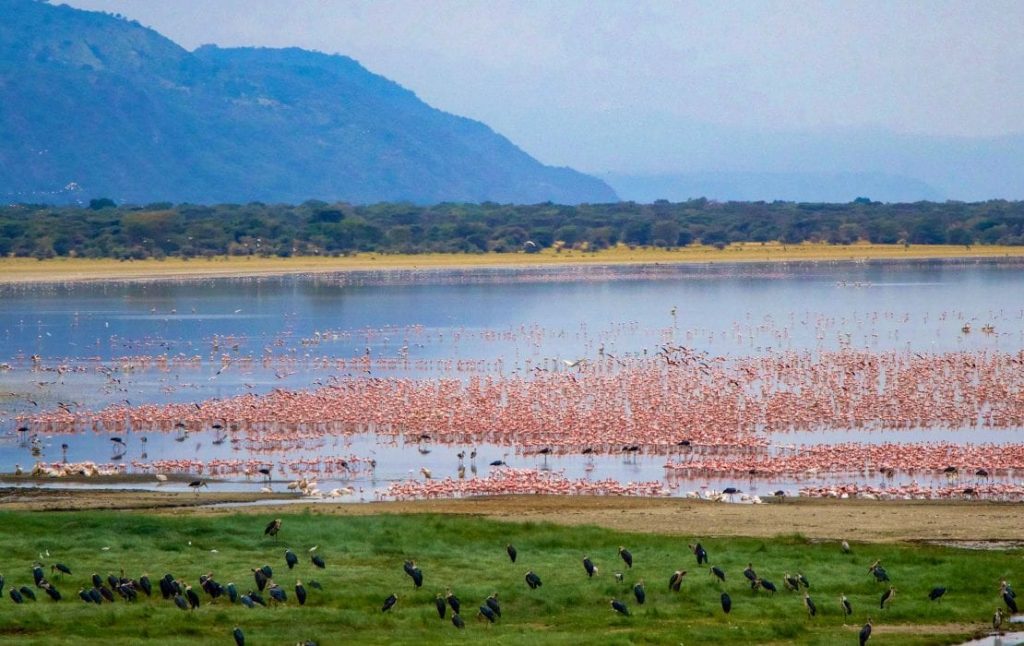lake manyara 1 1110x700 2
