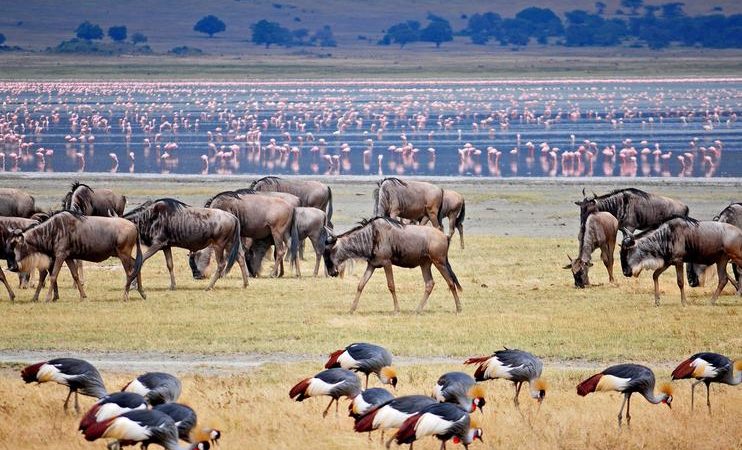 lake mayara national park