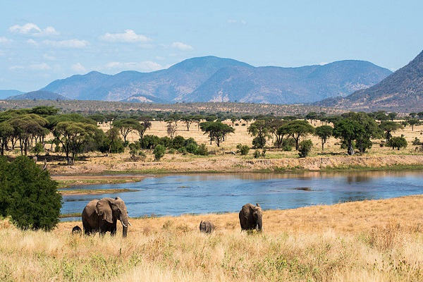 ruaha1